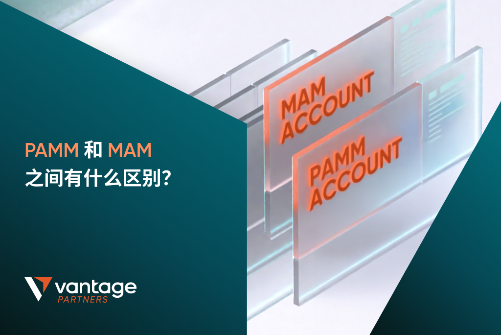 PAMM 和 MAM 之间有什么区别？